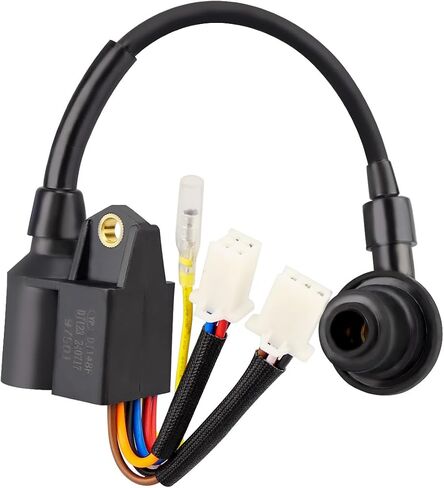 وحدة ملف الإشعال مناسبة لبولسار PG2000iS، لمولد عاكس iPower SUA2000i SUA2000iD SUA2300i SUA2300iD، لمولد عاكس WenPower 56203i 1600 2000 واط 79cc in Saudi Arabia