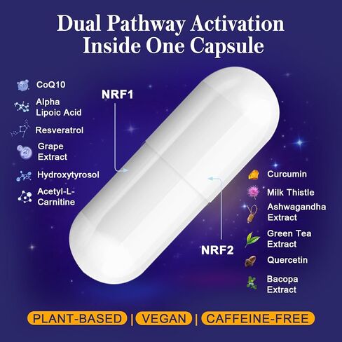 مكمل NRF1 وNRF2 1500 مجم | منشط مزدوج مع مرافق الإنزيم Q10 والكركمين والريسفيراترول المتحول والأشواغاندا | مضادات الأكسدة للإجهاد التأكسدي والشيخوخة الصحية والطاقة الخلوية | 60 كبسولة (زجاجة واحدة) in Kuwait