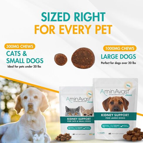 AminAvast Dog Kidney Supplement - Supports Natural Kidney Function - Promotes Health & Vitality of Aging Kidneys - Pet-Friendly, 1000mg (60 Chews) in Kuwait