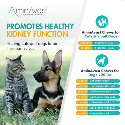 AminAvast Dog Kidney Supplement - Supports Natural Kidney Function - Promotes Health & Vitality of Aging Kidneys - Pet-Friendly, 1000mg (60 Chews) in Kuwait