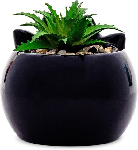 Sanrio Badtz-Maru 3-Inch Sculpted Ceramic Mini Planter with Artificial Succulent | Cute Flower Pot, Faux Indoor Plants in Saudi Arabia