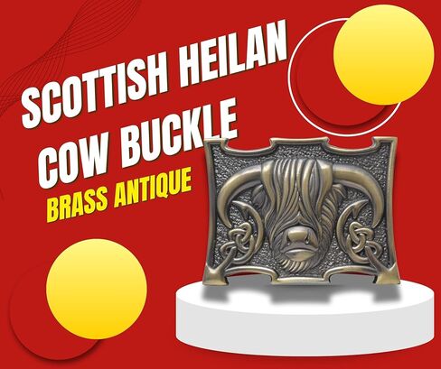 مشبك حزام من Scottish Heilan Coo Kilt - إبزيم من البيوتر على شكل بقرة هايلاند، إكسسوار سلتيك أنيق للرجال، 10 سم × 7.6 سم in Kuwait