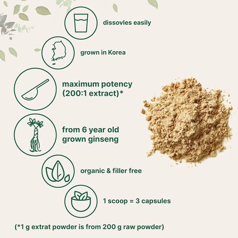 Micro Ingredients Maximum Strength Organic Korean Ginseng Root 200:1 Powder, 4 Ounce, Red Panax Ginseng Powder, Active Ginsenosides, Vegan Friendly in Saudi Arabia