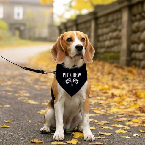 Pit Crew Dog Bandana: Checkered Flags Race Car Flag - Funny Cute Triangle Scarf for Small Medium Dogs (M) in Kuwait