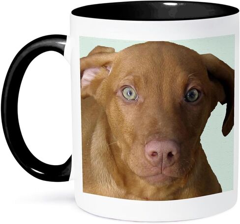 كوب 3dRose_48744_4 "Vizsla Puppy" كوب أسود بلونين، 11 أونصة، متعدد الألوان in Saudi Arabia