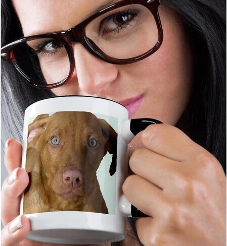 كوب 3dRose_48744_4 "Vizsla Puppy" كوب أسود بلونين، 11 أونصة، متعدد الألوان in Saudi Arabia
