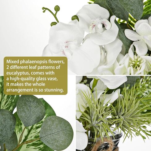 White Orchids Artificial Flowers with Vase Fake Flowers in Vase Artificial Eucalyptus Stems in Glass Vase with Faux Water Faux Orchid with Eucalyptus Leaves Arrangement for Dining Table Centerpiece in Kuwait