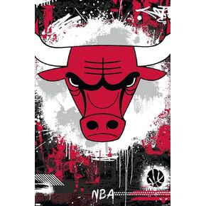 Trends International NBA Chicago Bulls - Maximalist Logo 23 Wall Poster