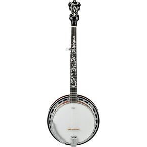 Ibanez B200 5 String Banjo w/Basswood Rim
