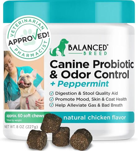 Balanced Breed Dog Probiotics Digestive Gut Health Chew Made in USA Non-GMO Vet-Pharmacist Approved Fortiflora Probiotics Dogs Anti Yeast Supplement Constipation Relief Dog Yeast Itchy Skin Itchy Ears in Saudi Arabia