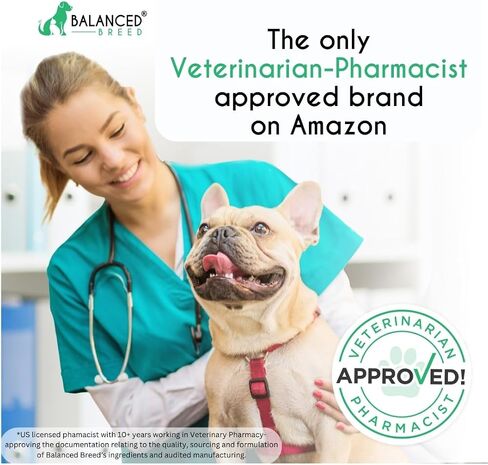 Balanced Breed Dog Probiotics Digestive Gut Health Chew Made in USA Non-GMO Vet-Pharmacist Approved Fortiflora Probiotics Dogs Anti Yeast Supplement Constipation Relief Dog Yeast Itchy Skin Itchy Ears in Saudi Arabia