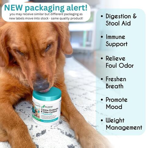 Balanced Breed Dog Probiotics Digestive Gut Health Chew Made in USA Non-GMO Vet-Pharmacist Approved Fortiflora Probiotics Dogs Anti Yeast Supplement Constipation Relief Dog Yeast Itchy Skin Itchy Ears in Saudi Arabia