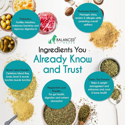 Balanced Breed Dog Probiotics Digestive Gut Health Chew Made in USA Non-GMO Vet-Pharmacist Approved Fortiflora Probiotics Dogs Anti Yeast Supplement Constipation Relief Dog Yeast Itchy Skin Itchy Ears in Saudi Arabia