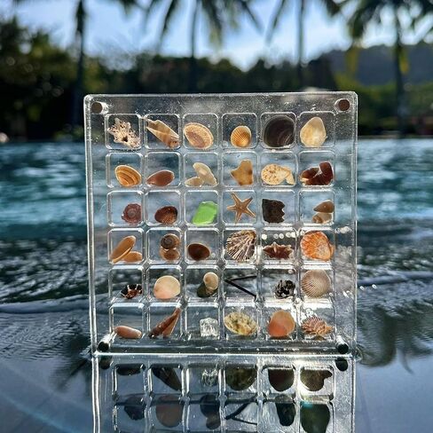 Acrylic Magnetic Seashell Display Box,Transparent Acrylic Seashell Storage Box Display Box,5" X 5"Acrylic Magnetic Seashell Box, Organizer Box for Bead, Nail, Jewelry（36 Square Grids） in Kuwait