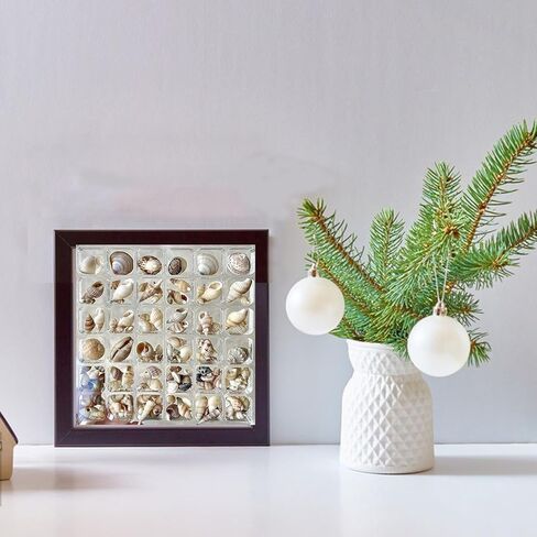 Acrylic Magnetic Seashell Display Box,Transparent Acrylic Seashell Storage Box Display Box,5" X 5"Acrylic Magnetic Seashell Box, Organizer Box for Bead, Nail, Jewelry（36 Square Grids） in Kuwait