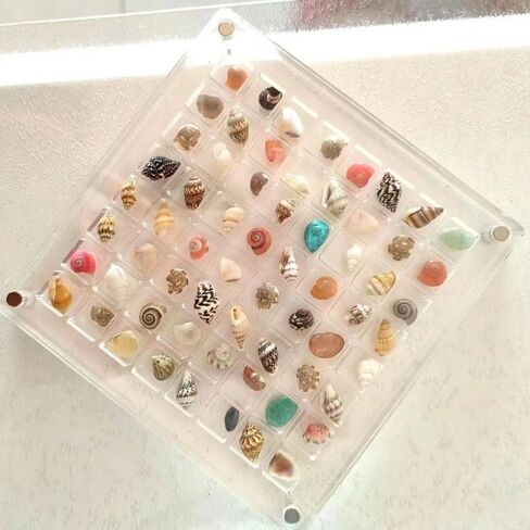 Acrylic Magnetic Seashell Display Box,Transparent Acrylic Seashell Storage Box Display Box,5" X 5"Acrylic Magnetic Seashell Box, Organizer Box for Bead, Nail, Jewelry（36 Square Grids） in Kuwait