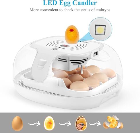 Altrapow 16 Egg Incubator with Automatic Egg Turning, LED Egg Candler and Automatic Temperature Control, Incubators for Hatching Eggs with ℉ Display for Chicken, Duck, Quail and Goose in Kuwait