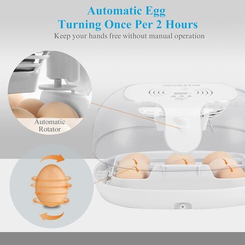 Altrapow 16 Egg Incubator with Automatic Egg Turning, LED Egg Candler and Automatic Temperature Control, Incubators for Hatching Eggs with ℉ Display for Chicken, Duck, Quail and Goose in Kuwait