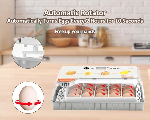 Altrapow 20 Incubator for Hatching Egg with Automatic Egg Turning, LED Egg Candler and Automatic Temperature Control, Incubators for Hatching Eggs with ℉ Display for Chicken, Duck, Quail and Goose in Kuwait
