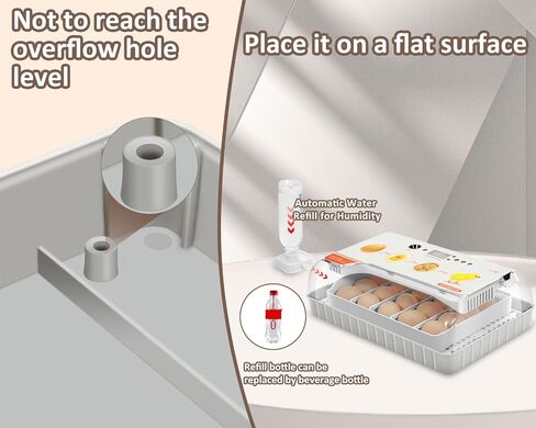 Altrapow 20 Incubator for Hatching Egg with Automatic Egg Turning, LED Egg Candler and Automatic Temperature Control, Incubators for Hatching Eggs with ℉ Display for Chicken, Duck, Quail and Goose in Kuwait