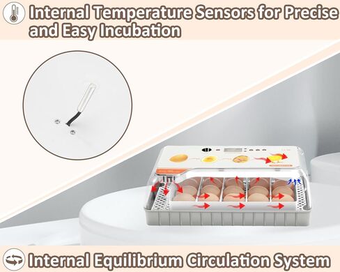 Altrapow 20 Incubator for Hatching Egg with Automatic Egg Turning, LED Egg Candler and Automatic Temperature Control, Incubators for Hatching Eggs with ℉ Display for Chicken, Duck, Quail and Goose in Kuwait