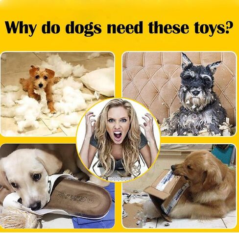 Dog Chew Toys,Dog Toys 5 Pack for Fun and Teeth Cleaning Dog Toys Pack for Medium to Small Dogs in Kuwait