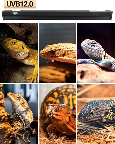 WACOOL 34 بوصة T5 HO UVB مصباح الزواحف وT5 HO UVB لمبة إضاءة الزواحف 39 وات، UVB12.0 ضوء الزواحف و46 بوصة غطاء تررم كومبو in Kuwait
