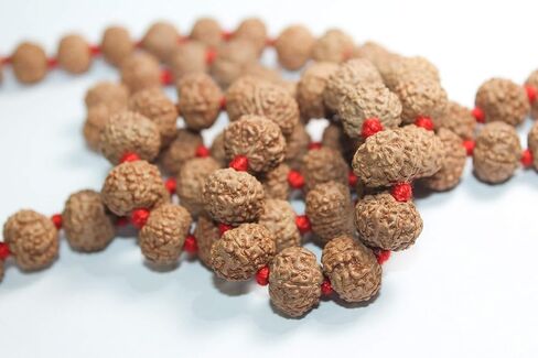 Certified 7 Mukhi (Face) Rudraksha Mala (Necklaces) 108 + 1 Knotted Beads Japa Rosary Free Om Pouch in Saudi Arabia