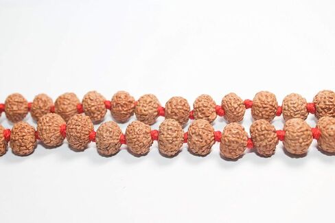 Certified 7 Mukhi (Face) Rudraksha Mala (Necklaces) 108 + 1 Knotted Beads Japa Rosary Free Om Pouch in Saudi Arabia