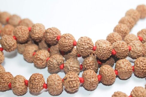 Certified 7 Mukhi (Face) Rudraksha Mala (Necklaces) 108 + 1 Knotted Beads Japa Rosary Free Om Pouch in Saudi Arabia