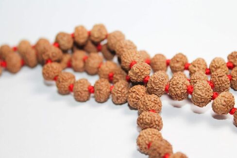 Certified 7 Mukhi (Face) Rudraksha Mala (Necklaces) 108 + 1 Knotted Beads Japa Rosary Free Om Pouch in Saudi Arabia
