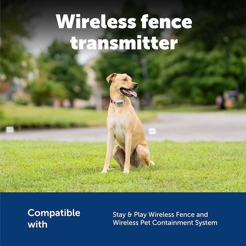 PetSafe Wireless Pet Containment System Receiver Collar for Dogs, Wireless Dog Collar Waterproof Material, Fits Small, Medium, Large Pets, Electric Fence Receiver Collars (Red and Black) in Kuwait