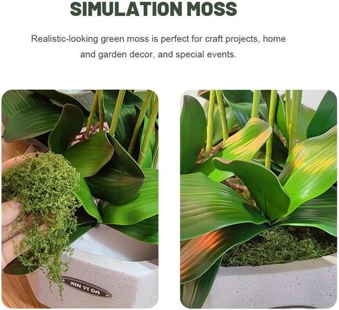 1 Pack Artificial Green Plants Fake Grass for Home Living Room Garden Mini Landscape Moss Decorations DIY Crafts (50g,Flat 30 * 60cm) in Saudi Arabia