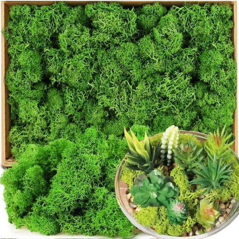 1 Pack Artificial Green Plants Fake Grass for Home Living Room Garden Mini Landscape Moss Decorations DIY Crafts (50g,Flat 30 * 60cm) in Saudi Arabia