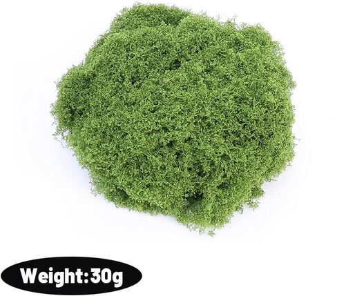 1 Pack Artificial Green Plants Fake Grass for Home Living Room Garden Mini Landscape Moss Decorations DIY Crafts (50g,Flat 30 * 60cm) in Saudi Arabia