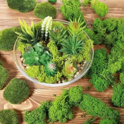 1 Pack Artificial Green Plants Fake Grass for Home Living Room Garden Mini Landscape Moss Decorations DIY Crafts (50g,Flat 30 * 60cm) in Saudi Arabia