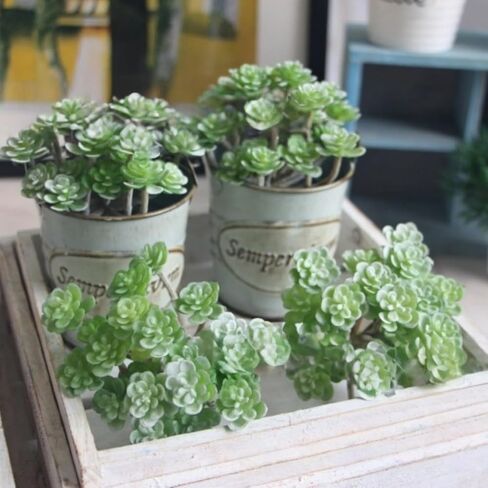 Artificial Flocked Succulents - Creative Fake Plants for DIY Crafting, Home Floral Wall, Garden Arrangement & Office Decor in Saudi Arabia