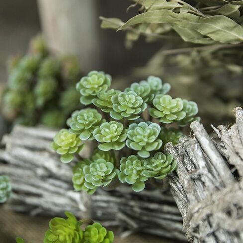 Artificial Flocked Succulents - Creative Fake Plants for DIY Crafting, Home Floral Wall, Garden Arrangement & Office Decor in Saudi Arabia
