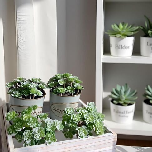 Artificial Flocked Succulents - Creative Fake Plants for DIY Crafting, Home Floral Wall, Garden Arrangement & Office Decor in Saudi Arabia