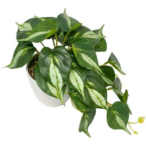 Kiko Artificial Plant-POTHOS -22 PCS Trailing in Saudi Arabia