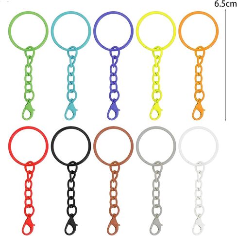 Bulk Keychains for Women, Cute Keychain Set Colorful Keyrings with Chains Lobster Claw Clasps Metal Key Chains Accessories in Saudi Arabia