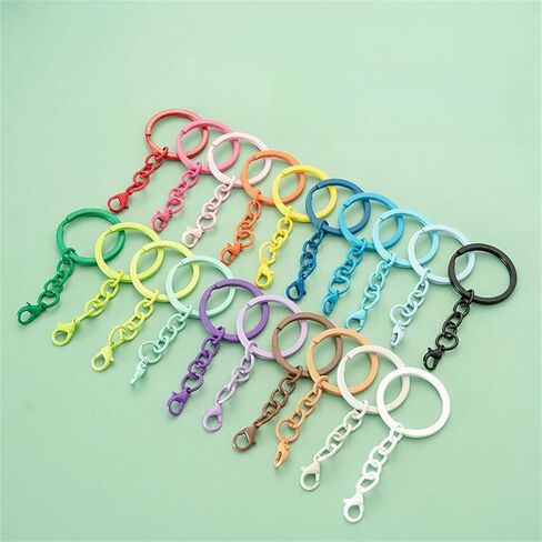 Bulk Keychains for Women, Cute Keychain Set Colorful Keyrings with Chains Lobster Claw Clasps Metal Key Chains Accessories in Saudi Arabia