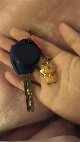 12Pcs Cute Capybara Keychains Kawaii Sport Capybara Pendant Accessories for DIY Bag Charm Phone Charms Wallet Birthday Christmas Gifts in Saudi Arabia