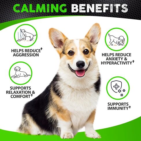 Hemp Hip and Joint Supplement for Dogs - Glucosamine for Dogs - 170 Dog Joint Pain Relief Treats - Chondroitin, Hemp Oil, MSM - Mobility & Flexibility Support - Advanced Care Health - Made in USA in Kuwait