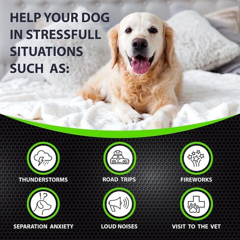 Hemp Hip and Joint Supplement for Dogs - Glucosamine for Dogs - 170 Dog Joint Pain Relief Treats - Chondroitin, Hemp Oil, MSM - Mobility & Flexibility Support - Advanced Care Health - Made in USA in Kuwait