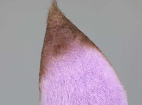 Horse Ears Headband Faux Fur Animals Ears Headwear Farm Horse Costume Hair Accessories for Cosplay Party in Saudi Arabia