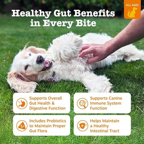 Zesty Paws Bropiotic Bites for Cats - Gut Flora and Immune Super in Kuwait