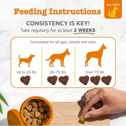 Zesty Paws Bropiotic Bites for Cats - Gut Flora and Immune Super in Kuwait