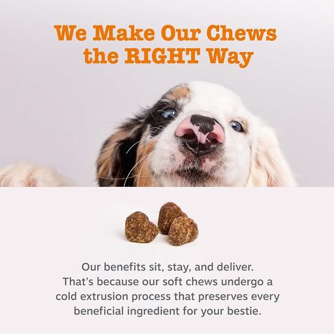 Zesty Paws Bropiotic Bites for Cats - Gut Flora and Immune Super in Kuwait