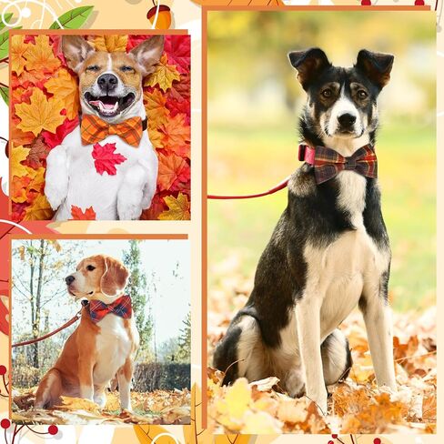 Silkfly 60 PCS COD DOG COD TIES BOLK DOG BOWTIE HOLIDAINGONISES PUPPY أقواس سحر طوق قابلة للفصل للمتوسطة الصغيرة المتوسطة الكبيرة للقطط اللوازم الأليفة (نمط الصيف) in Kuwait
